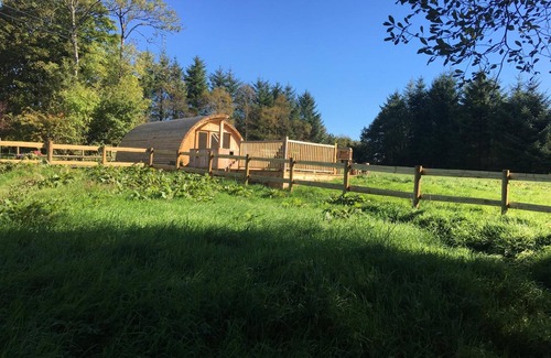 Devils Bridge Alquiler De RV | Brynllwyd Glamping