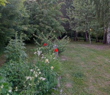 Dubeninki Casa | Brzozowy Chillout