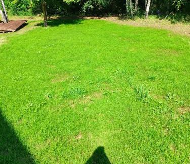 Pokrzywna Apartamento | Brzozowy zakątek w Pokrzywnej