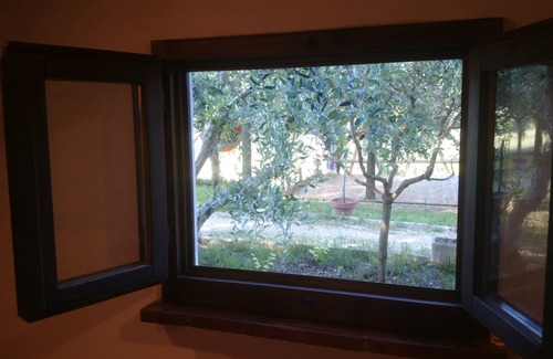Castel Colonna Apartamento | BUBO - Among the plants just a stone's throw from the pool