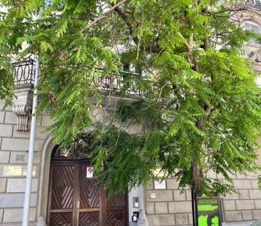 Castle Hill Apartamento | Buda Castle Apartment