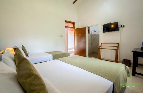 Anuradhapura Complejo | Buddhi's Grove