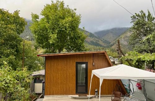 Akhali Ubani Apartamento | Buddy Apartment Borjomi