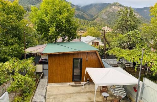 Akhali Ubani Apartamento | Buddy Apartment Borjomi