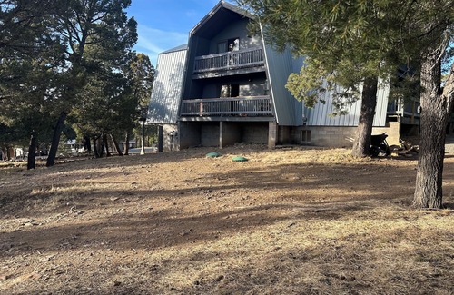Alto Cabina | Buddy Bear Cabin