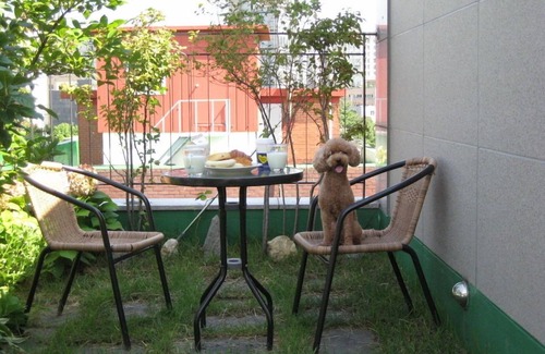 Yeonhui-dong Apartamento | Presupuesto / lindo lugar en Hongdae y Yoennamdong