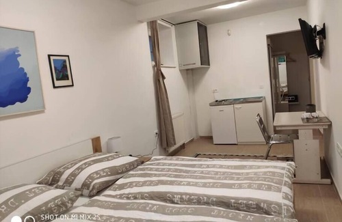 Ljubljana Apartamento | Budget room Hotel Vila Katrca