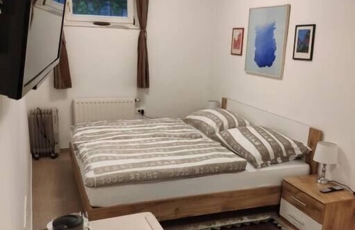 Ljubljana Apartamento | Budget room Hotel Vila Katrca