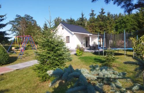 Kolczewo Casa | Budlejowy domek