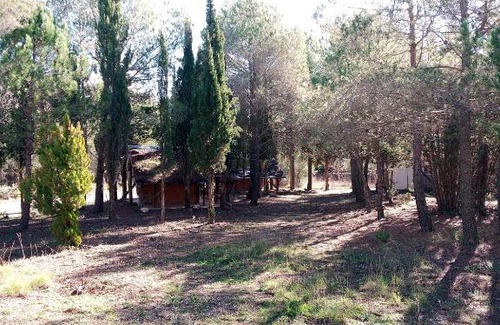 Torremanzanas Otro | Buena Vista