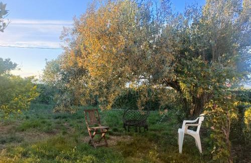 Lliria Casa | Buenas vistas y privacidad, tranquila y fresca villa en el bosque de Valencia con una magnífica piscina de 80m2