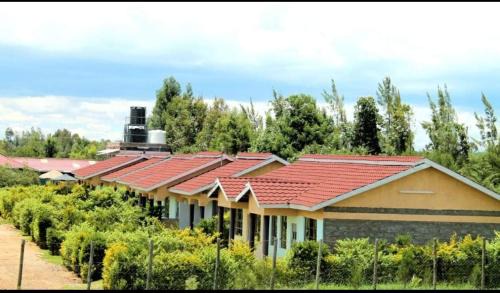 Nanyuki Casa | Buens Lugar Hotel