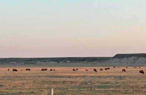 Northeast Entrance Badlands Casa | Buffalo Drift