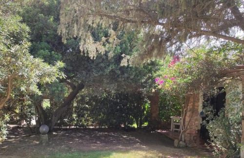 Notteri Casa | Buganvillee