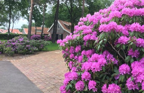 Hoge Hexel Casa | Buitenhuis de Pimpelmees