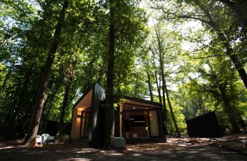 Noordoostelijk van Schaarsbergen Cabina | Buitenplaats Petersburg