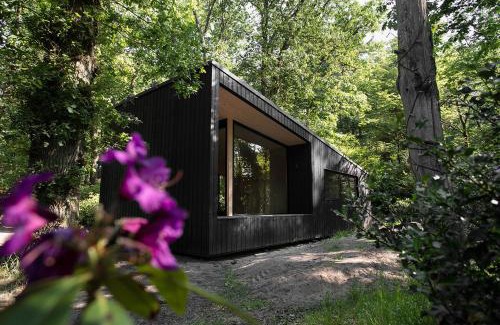 Noordoostelijk van Schaarsbergen Cabina | Buitenplaats Petersburg