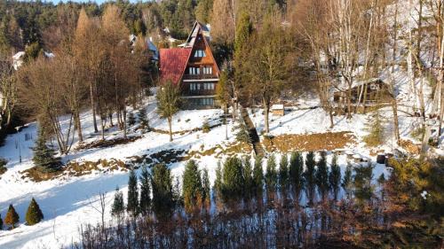 Tresna Chalet De Esquí | BUKOWA Jezioro Żywieckie Beskid Żywiecki Śląski Sauna Jacuzzi Kominek Morsowanie Tresna Żywiec Szczyrk