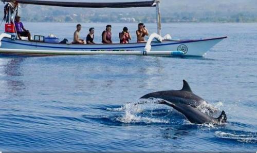 Bunaken Cama Y Desayuno | Bunaken Jhon Homestay