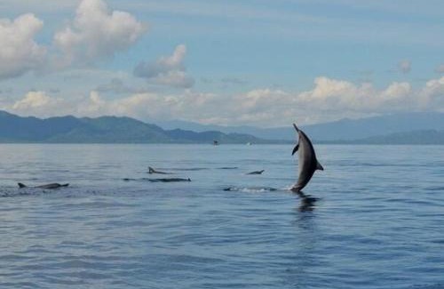 Bunaken Cama Y Desayuno | Bunaken Jhon Homestay