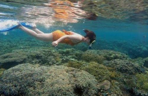 Bunaken Cama Y Desayuno | Bunaken Jhon Homestay