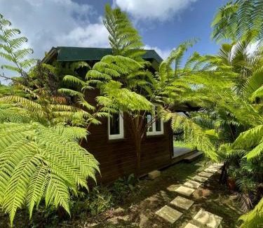 Le Morne-Rouge Chalet De Esquí | Bungalow à flanc de montagne