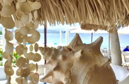 El Batey Casa | Bungalow #12 at Waterfront Playa Alicia