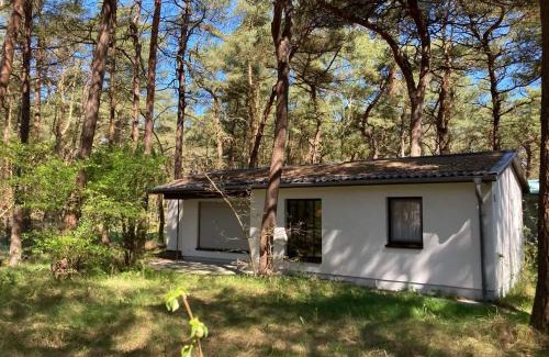 Altenkirchen Casa | Bungalow am Strand