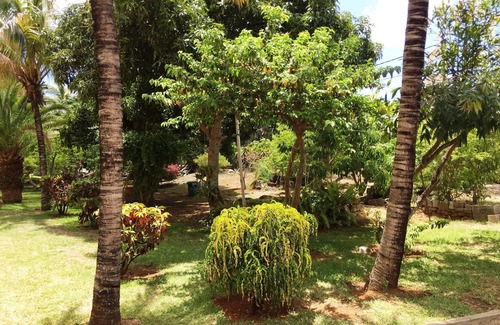 Grand Gaube Villa | Relájese en Mauricio no123: ¡villa privada con familiares y amigos para 6 personas!