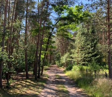 Borkwalde Casa | Bungalow im Wald