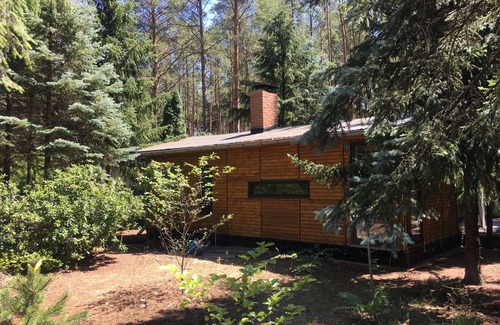 Borkwalde Casa | BUNGALOW EN EL BOSQUE en una parcela natural