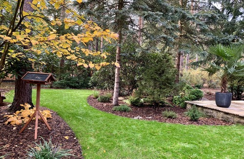 Borkwalde Casa | BUNGALOW EN EL BOSQUE en una parcela natural