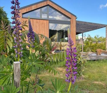 Gasselte Casa | Bungalow Lupine | 4 personen - Vakantiepark De Kremmer