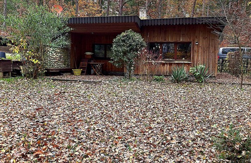 Templin Casa | Bungalow 'Urlaubsoase Am Bruchsee' con vistas al lago, terraza privada y jardín privado