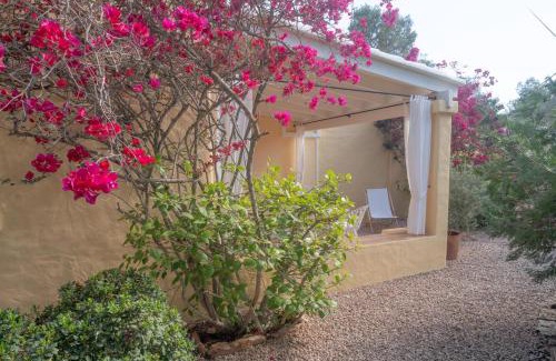 Formentera Apartamento | Bungalows Casa Amarilla