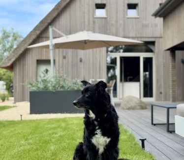 Oberndorf Casa | BunnyHuus Scheunen-Loft