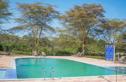 Naivasha Otro | Burch's Resort Naivasha Camping