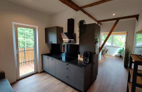 Spittal an der Drau Apartamento | Burgbichl Apartments