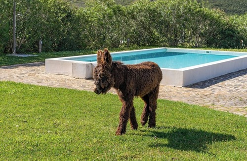 Portimao Casa | Burro Ville by HostWise - Peaceful House w/ Pool
