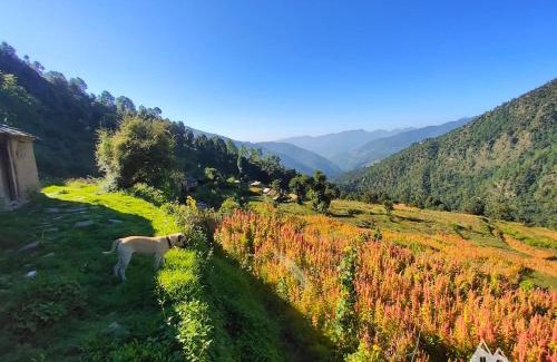 Chamoli Casa | Bursol Homestay by StayApart