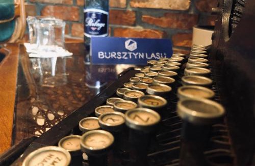 Wzgorze Swietego Maksymiliana Apartamento | Bursztyn Lasu