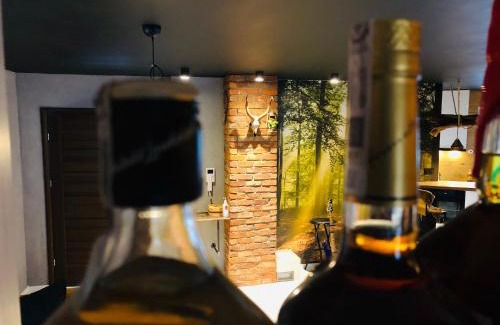 Wzgorze Swietego Maksymiliana Apartamento | Bursztyn Lasu