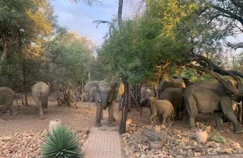 Bela-Bela Chalet De Esquí | Bush Dream, Mabalingwe