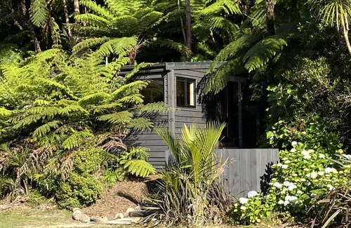 Whangamata Cabina | Bush Edge Studio