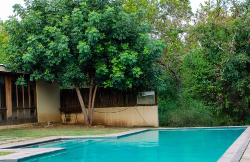 Manzini District Cama Y Desayuno | Bushbaby Lodge at Nkonyeni