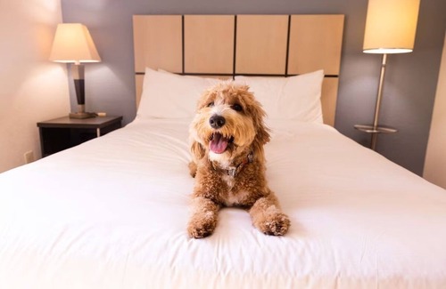 Braintree Hotel | Business-Ready Suites in Braintree | Kitchens, Wi-Fi & Free Parking