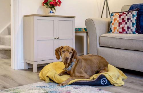 Penrose Casa | Buttercup Cottage