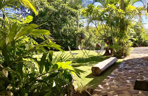 Strathdickie Cabina | Estudio de mariposa Whitsundays