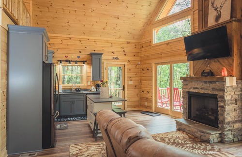 Ellijay Cabina | Byrd View Mountain Lodge + Free Park Pass