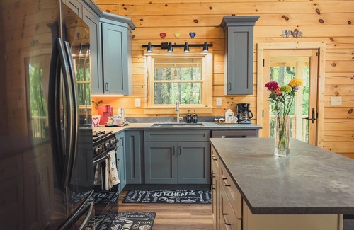 Ellijay Cabina | Byrd View Mountain Lodge + Free Park Pass